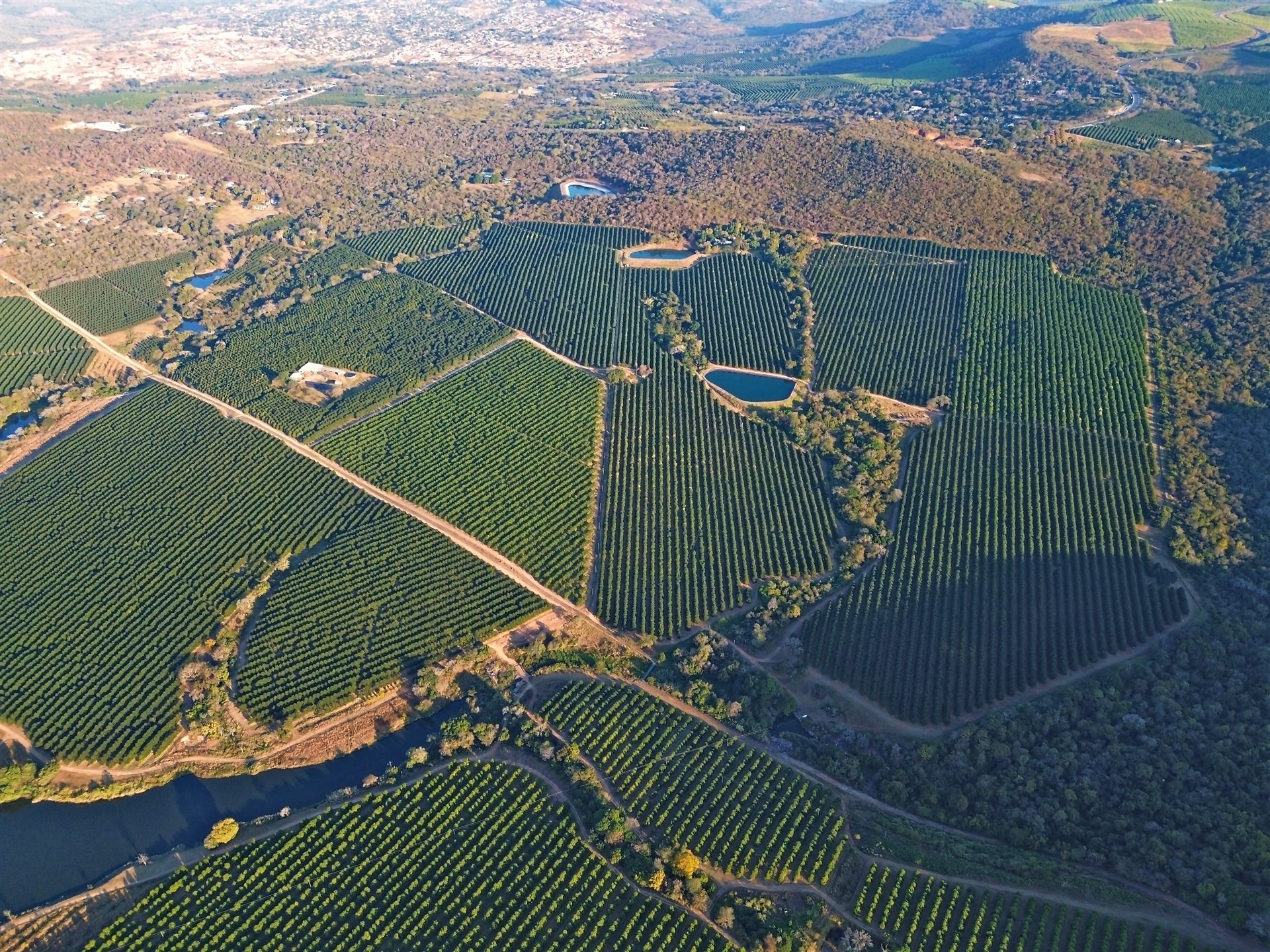 Aerial view of Sunstone Valley's orchard blocks, dams and river line near Hazyview